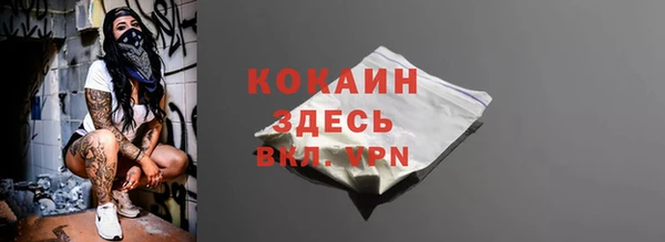 гашик Бородино