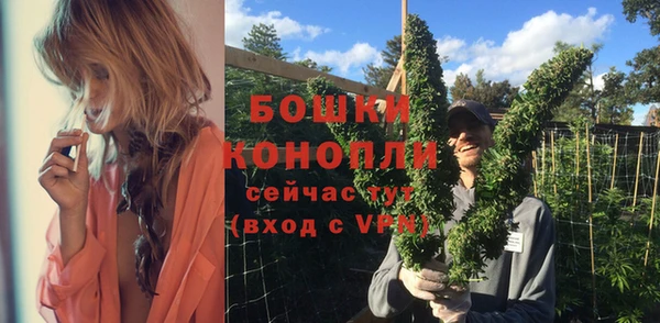гашик Бородино