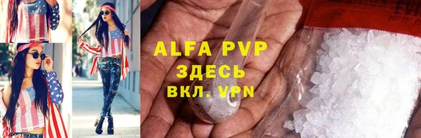 гашик Бородино