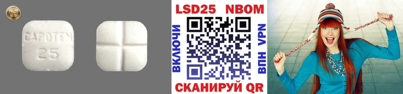 закладки  Берёзовка  Лсд 25 экстази кислота 